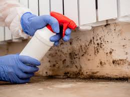 Environmental Consulting for Mold Prevention in Pandora, OH